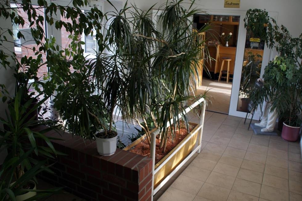 Landhotel Pagram-Frankfurt/Oder Frankfurt  Eksteriør bilde